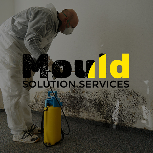 Mould Solution Services